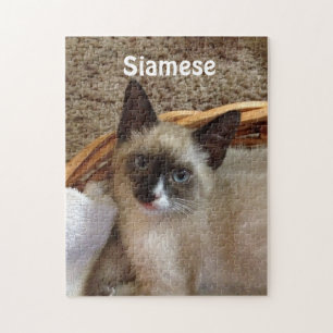 Kat van Siamese Legpuzzel
