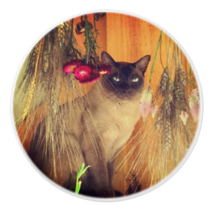 Kat van Siamese met bloemen Keramische Knop