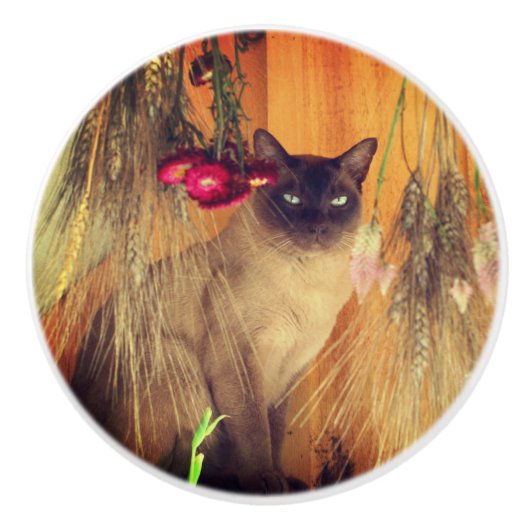 Kat van Siamese met bloemen Keramische Knop (Voorkant)