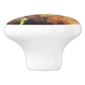 Kat van Siamese met bloemen Keramische Knop (Zijkant)