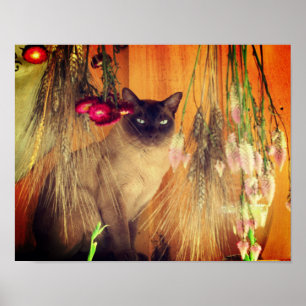 Kat van Siamese met bloemen Poster