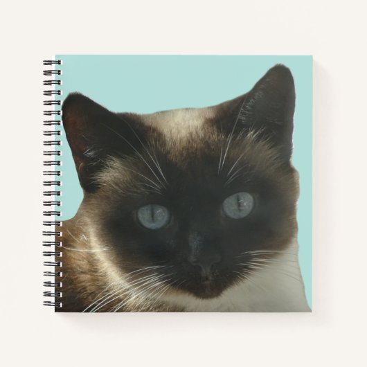 Kat van Siamese met Notitieboek van Bright Blue Ey (Voorkant)