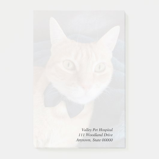 Kat van stropdas post-it® notes (Voorkant)