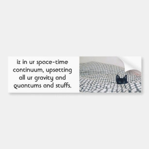 kat verstoort kwantum bumpersticker