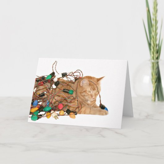 Kat verstrikt in kerstverlichting feestdagen kaart (Voorkant)
