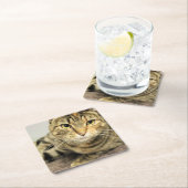 Kat Vierkante Kartonnen Onderzetter (Insitu)
