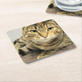 Kat Vierkante Kartonnen Onderzetter (Schuin)
