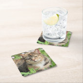 Kat Vierkante Kartonnen Onderzetter (Insitu)