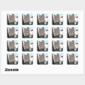 Kat Vierkante Sticker (Vel)