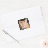 Kat Vierkante Sticker (Envelop)