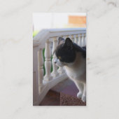 Kat Visitekaartje (Achterkant)