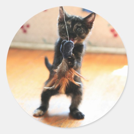 Kat vliegvissen ronde sticker (Voorkant)