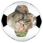 Kat Voetbal (Gedraaid)