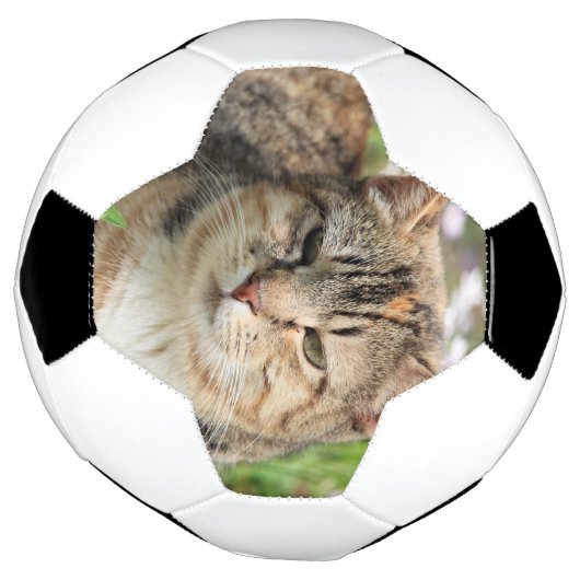 Kat Voetbal (Gedraaid)