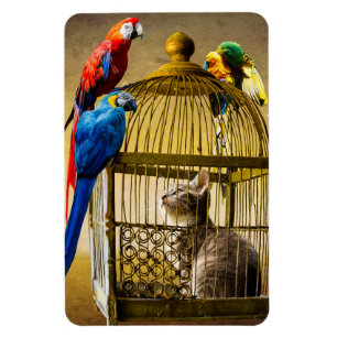 Kat & Vogels Magneet