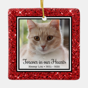Kat Voor Altijd in Onze Harten Keramisch Ornament