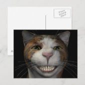 Kat voor glimlachen briefkaart (Voorkant / Achterkant)
