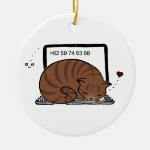 Kat voor laptop (bruine tablet) keramisch ornament