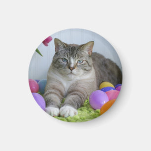 Kat voor paasbakkerij Klassieke ronde sticker Maso Magneet