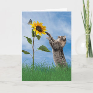 Kat voor tafelgebruik met zonnebloempitdag kaart
