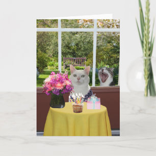 Kat Vrouw Fotobom Verjaardag Kaart