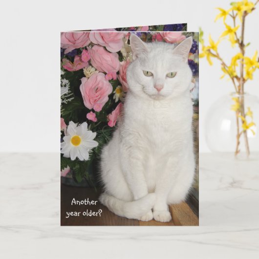 kat Vrouwelijke verjaardag Kaart (Gele Bloem)