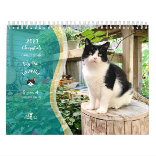 Kat Wall Calendar 2021, leven van sly Pie Kalender