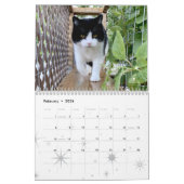 Kat Wall Calendar 2021, leven van sly Pie Kalender (Feb 2026)