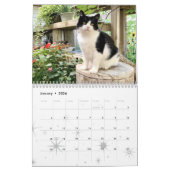 Kat Wall Calendar 2021, leven van sly Pie Kalender (Jan 2026)