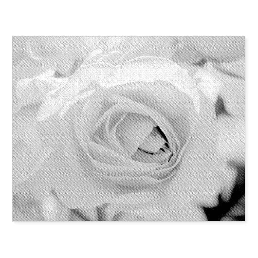 Kat-wandeling Rubberstempel (Afrduk)