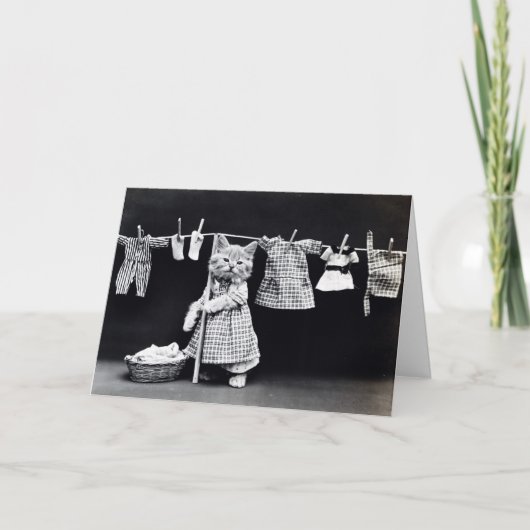 Kat wasdag kaart (Voorkant)