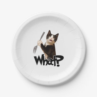 Kat wat grappig zwart kat, kat met vork papieren bordje