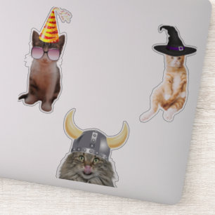 Kat Wearing Pet Sticker