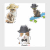 Kat Wearing Pet Sticker (Vel)