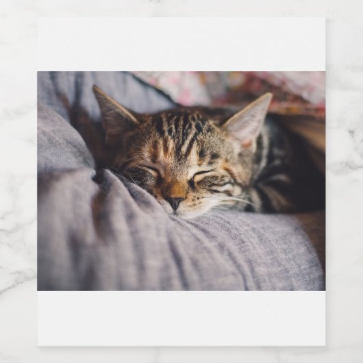 Kat Wijn Etiket (Enkel label)