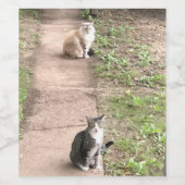 Kat Wijn Etiket (Enkel label)