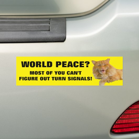 Kat wil dat je je oogklep gebruikt bumpersticker (Op auto)