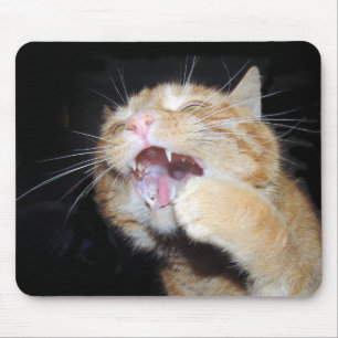 Kat wil de muis muismat