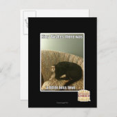 Kat Wishes Briefkaart (Voorkant / Achterkant)