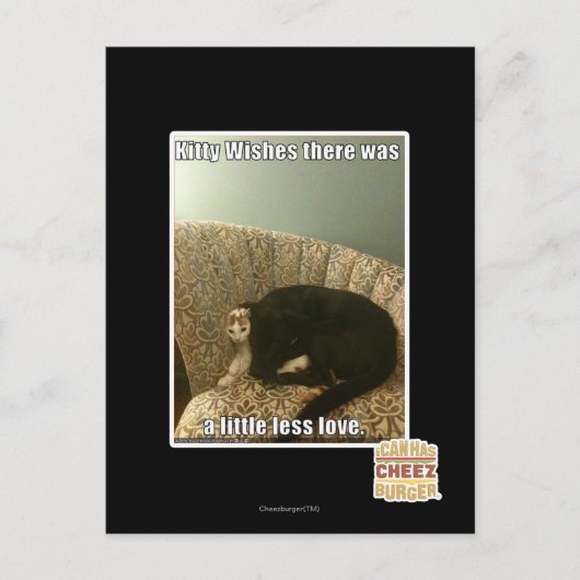 Kat Wishes Briefkaart (Voorkant)