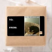 Kat Wishes Etiket (Insitu)