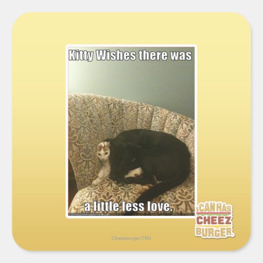 Kat Wishes Vierkante Sticker (Voorkant)