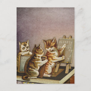 Kat-wiskunde Briefkaart