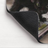 kat wissen muismat (Hoek)