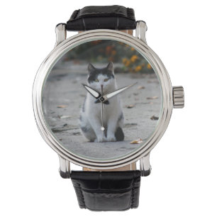 Kat, wit, huisdier horloge