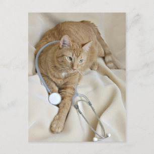 Kat wordt goed briefkaart