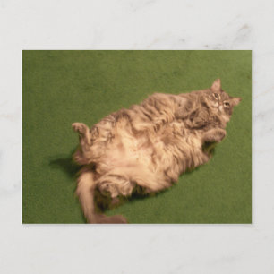 Kat Yoga van Smoochie Girl Briefkaart