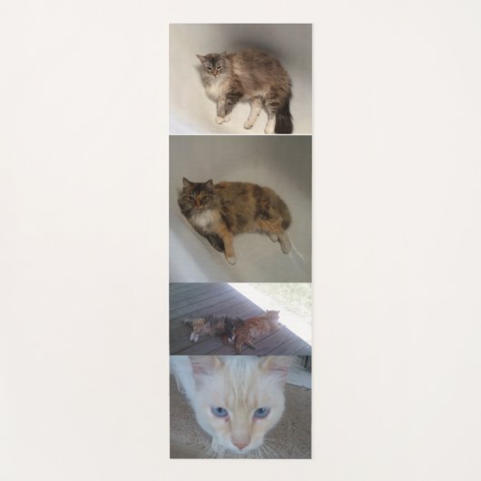 Kat Yogamat (Voorkant)