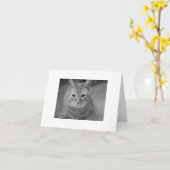 Kat zegt... kaart (Gele Bloem)