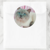 Kat zien ronde sticker (Tas)
